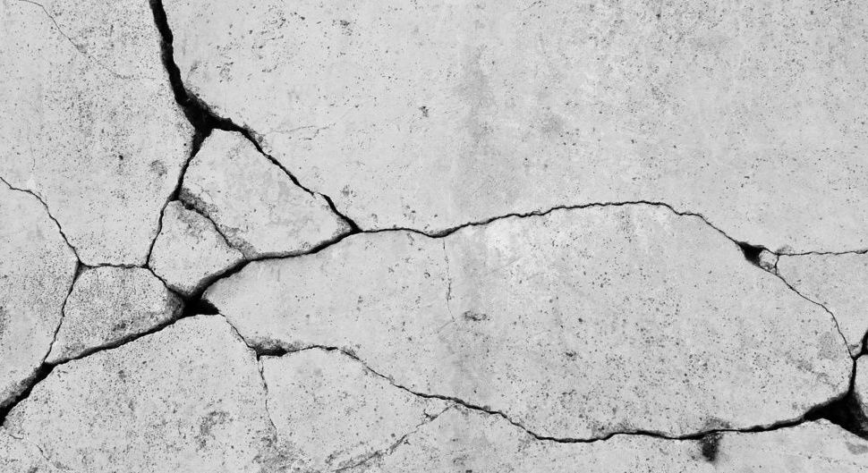 Pathologies de la construction