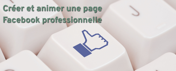 Créer et animer une page Facebook professionnelle (Présentiel)