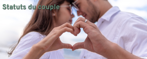 Statuts du couple et successions (Distanciel) 2026