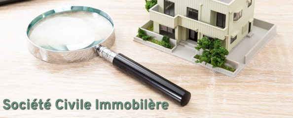 La Société Civile Immobilière (SCI) (Présentiel) 2026
