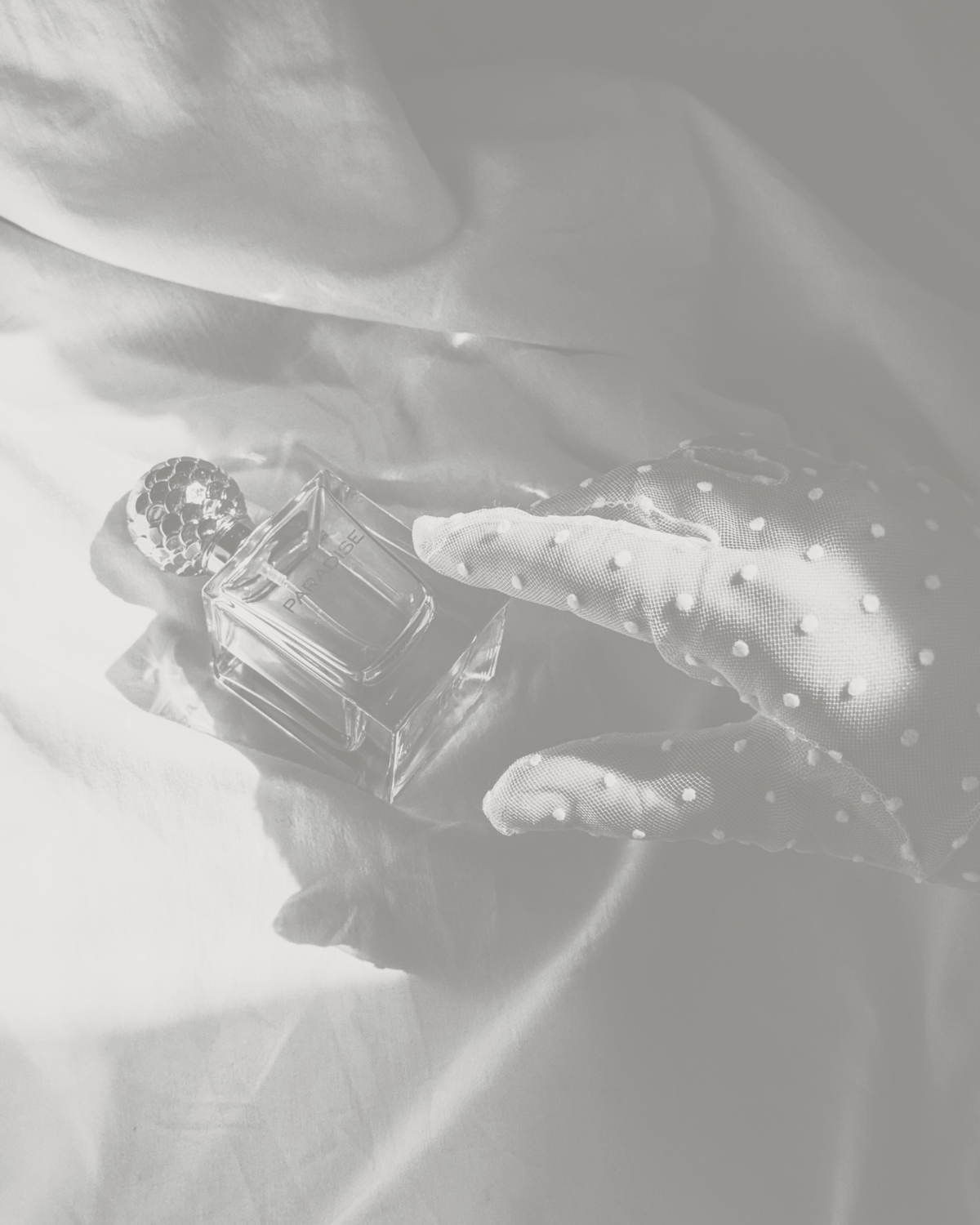 Expert parfums, ambassadeur d'émotions (blended-learning)