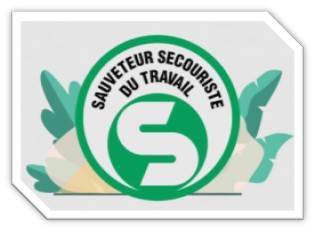 Sauveteurs Secouristes du Travail _ Maintient et Actualisation des Compétences MACSST