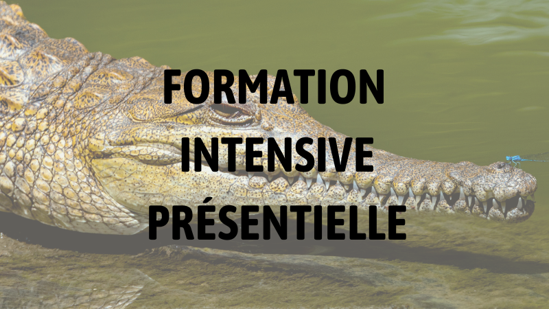 2027 Formation intensive : Crocodiliens et Grand reptiles