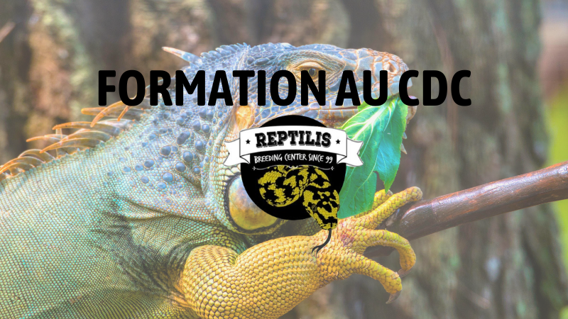 17/04 : Alimentation et Hygiène ( 2places restantes)