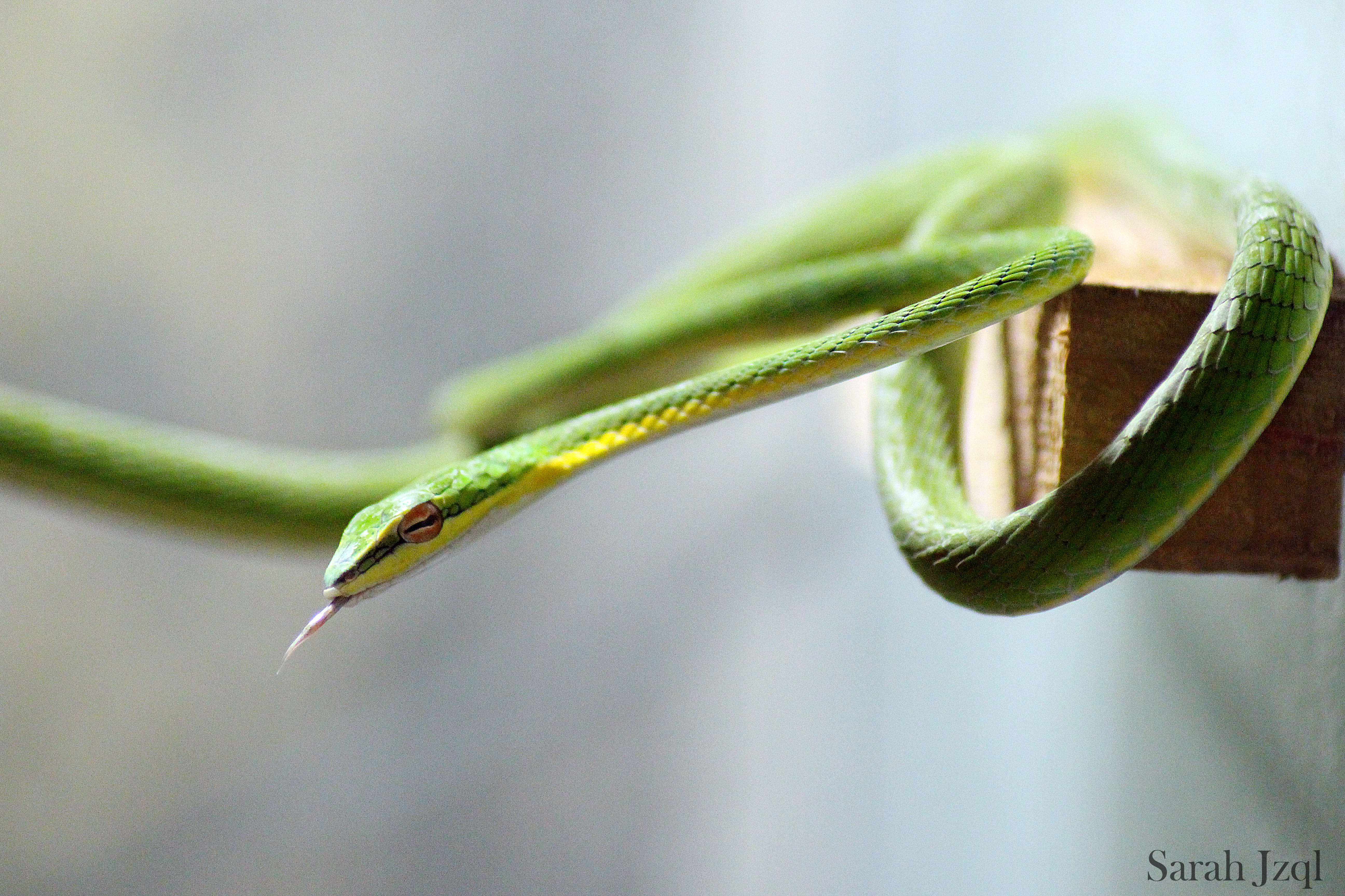 A VENIR - formation au CDC