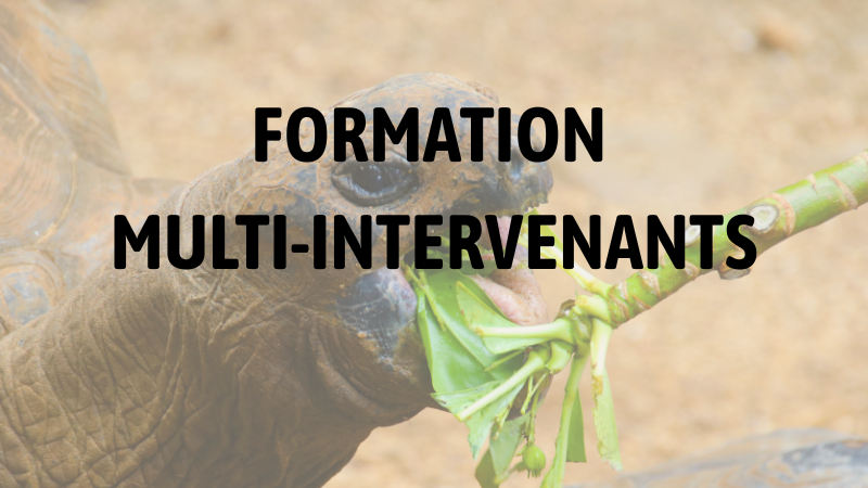 JUIN 2026  : Nutrition et alimentation des reptiles