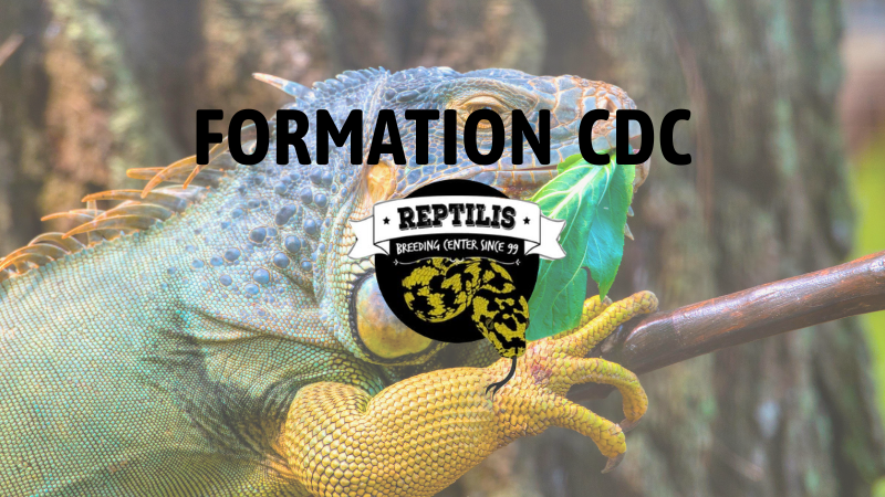 Formation CDC