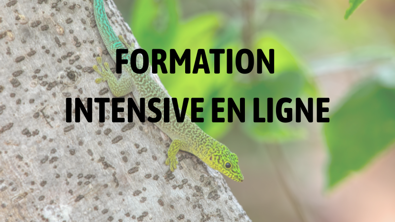 NOVEMBRE 2026 : Stress, Enrichissement et Apprentissage