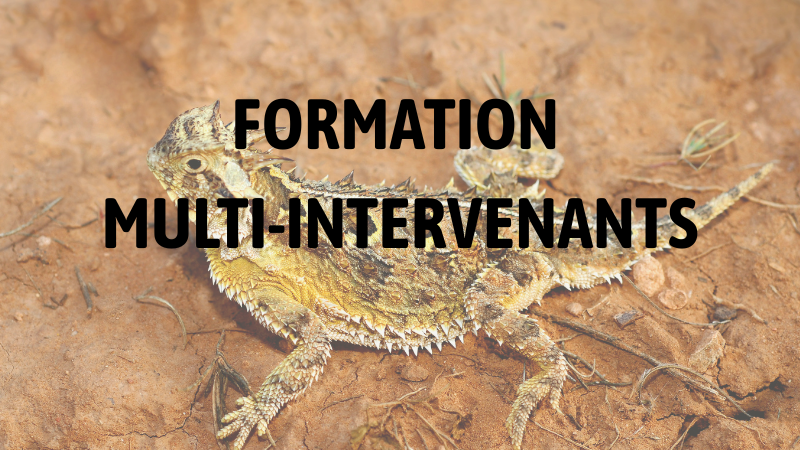 Formation : Gestion des UV en captivité