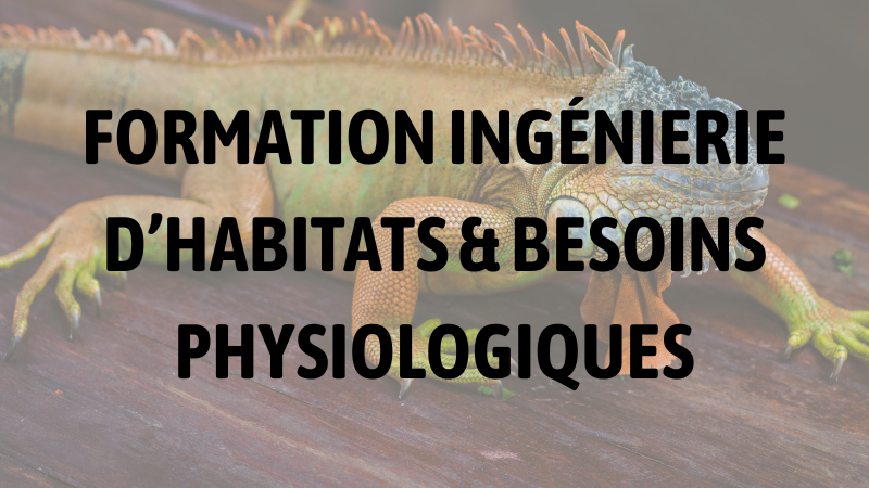 Formation en parc zoologique : Conception et ingénierie d’habitats pour reptiles