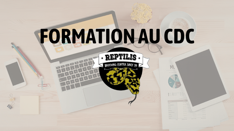 Formation CDC
