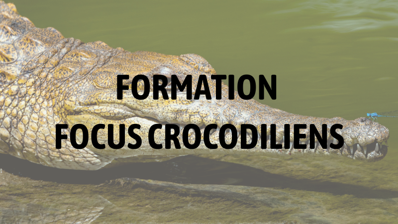 Formation en parc zoologique : Focus Crocodiliens