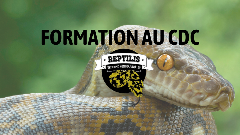 16/04 : Spéciale Serpent COMPLET