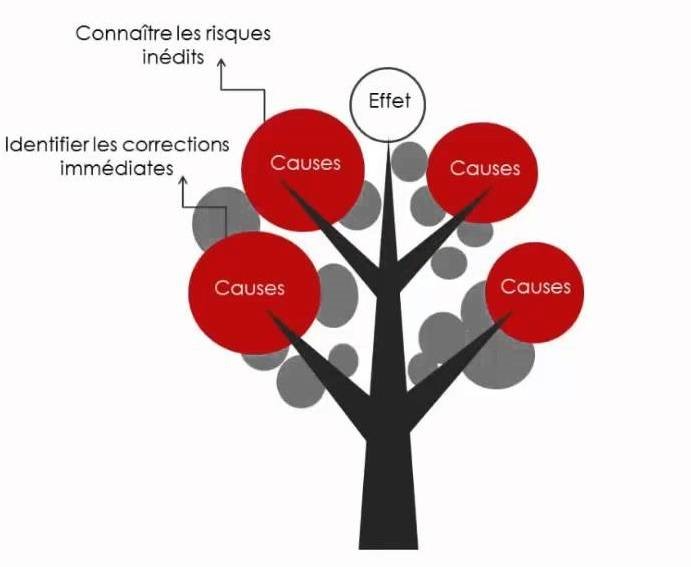 Formation arbre des causes